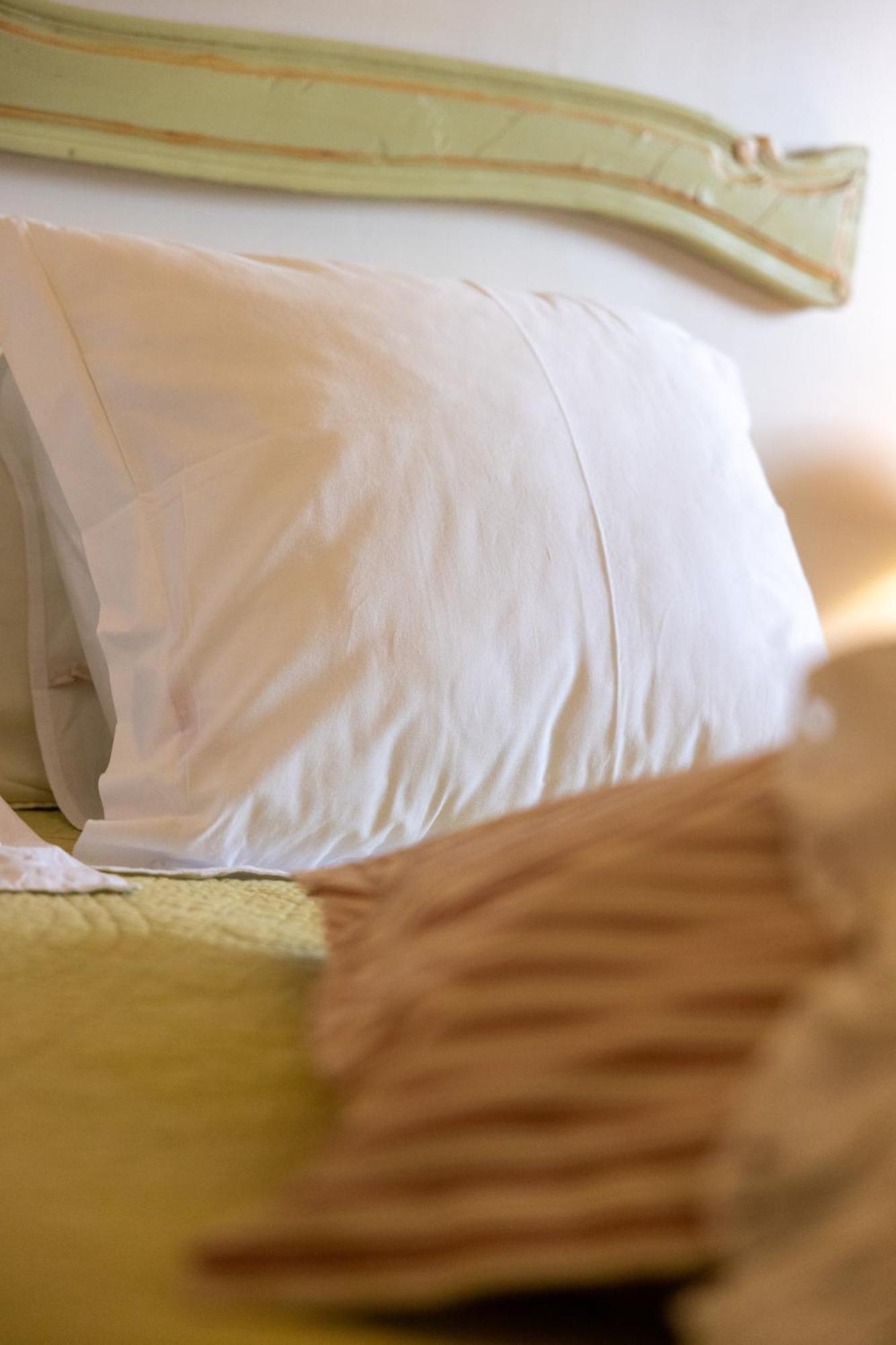 Ferme De Marpalu Bed and Breakfast La Ferté-Saint-Cyr Εξωτερικό φωτογραφία