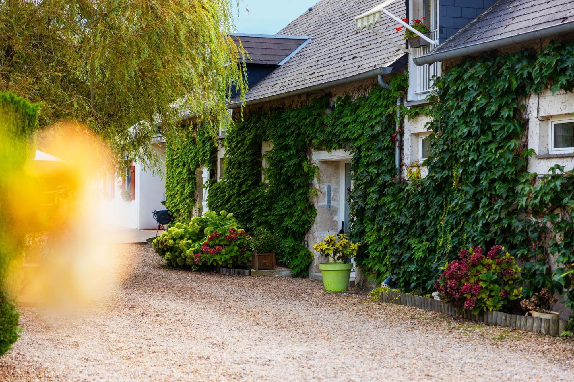 Ferme De Marpalu Bed and Breakfast La Ferté-Saint-Cyr Εξωτερικό φωτογραφία